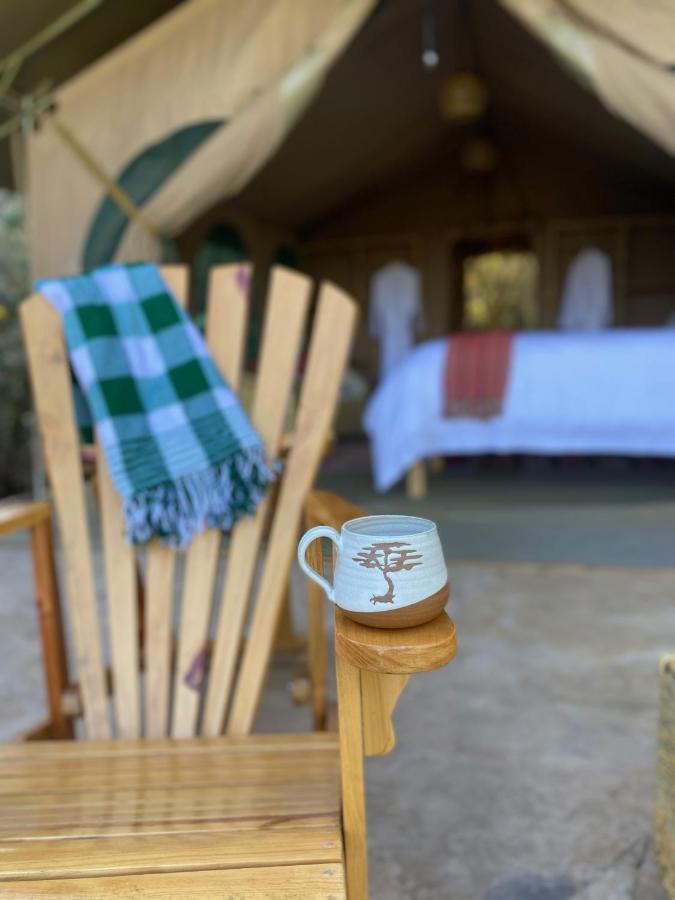 Luxury tent Echoes Of Eden: River Retreat *