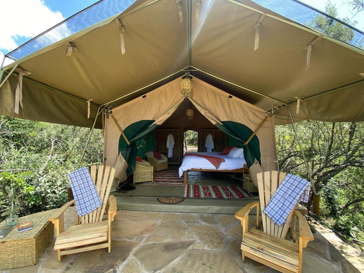 Luxury tent Echoes Of Eden: River Retreat *